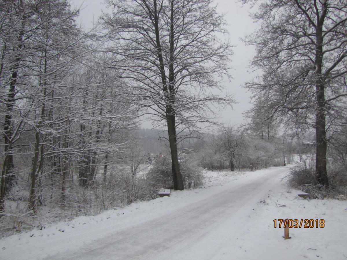Domki Polanica Polanica-Zdrój Exterior foto